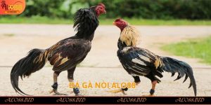 đá gà nòi